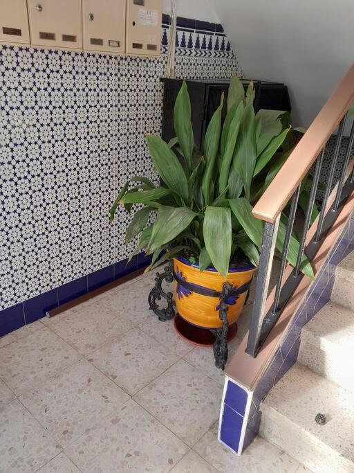 דירות Alcalá de Guadaira Disfruta De Un Barrio Tranquilo מראה חיצוני תמונה